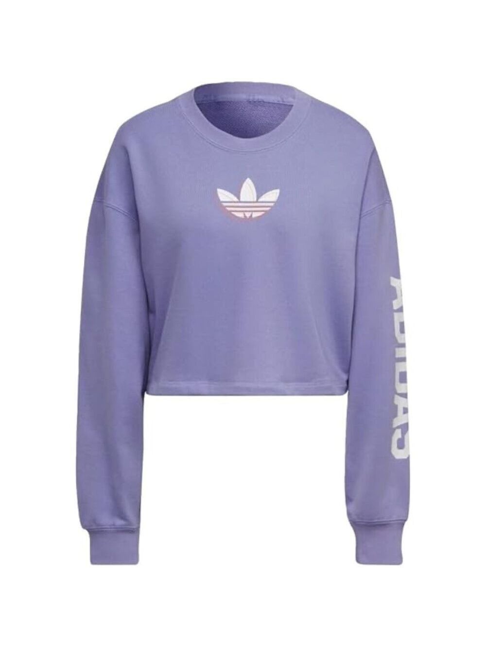 Adidas Mint Logo Streetball Cropped Crew Neck Sweatshirt